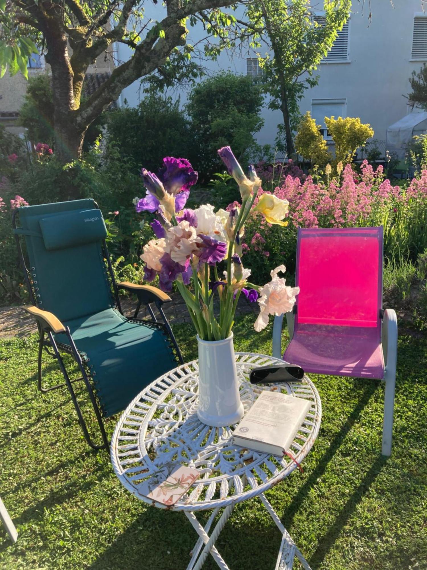 Le Petit Cochon Bed & Breakfast Valence-sur-Baise Bagian luar foto